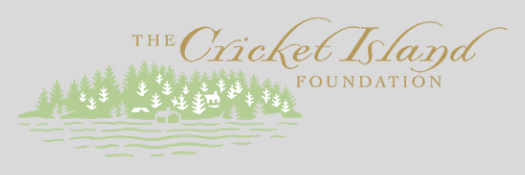 Cricket Island Foundation: Youth organizing work and operations support